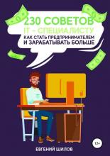 230 советов IT-специалисту как стать предпринимателем и зарабатывать больше (Евгений Викторович Шилов) - скачать книгу