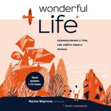 Аудиокнига Wonderful Life. Размышления о том, как найти смысл жизни (Фрэнк Мартела)